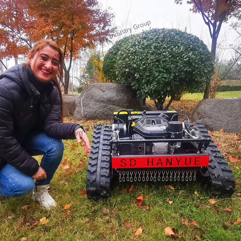 1,HY-550CJ lawn mower at Asia